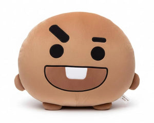 BT21 Character Pillow | Soft K-Pop Collectible Cushion